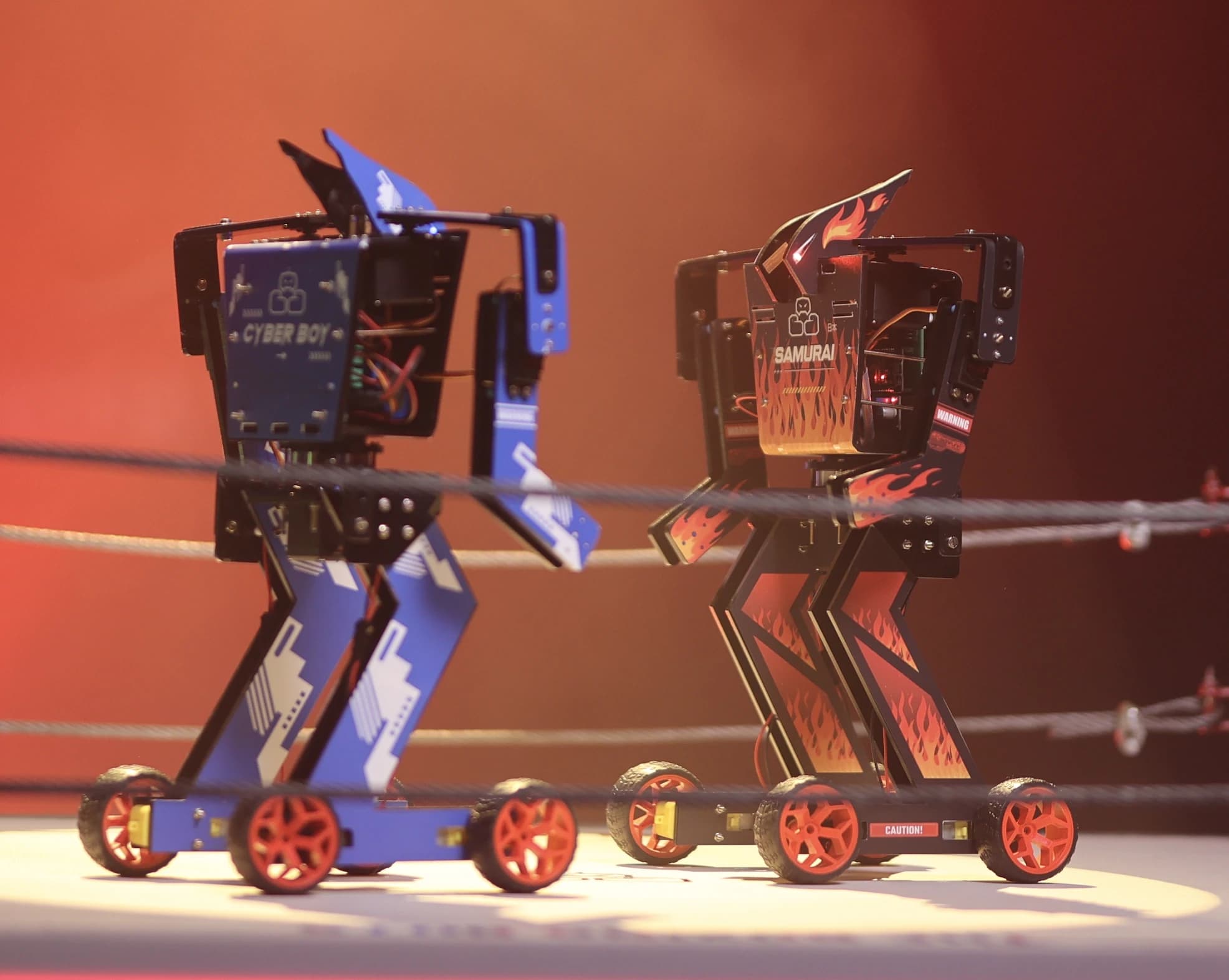 Zwei Boxroboter im Ring